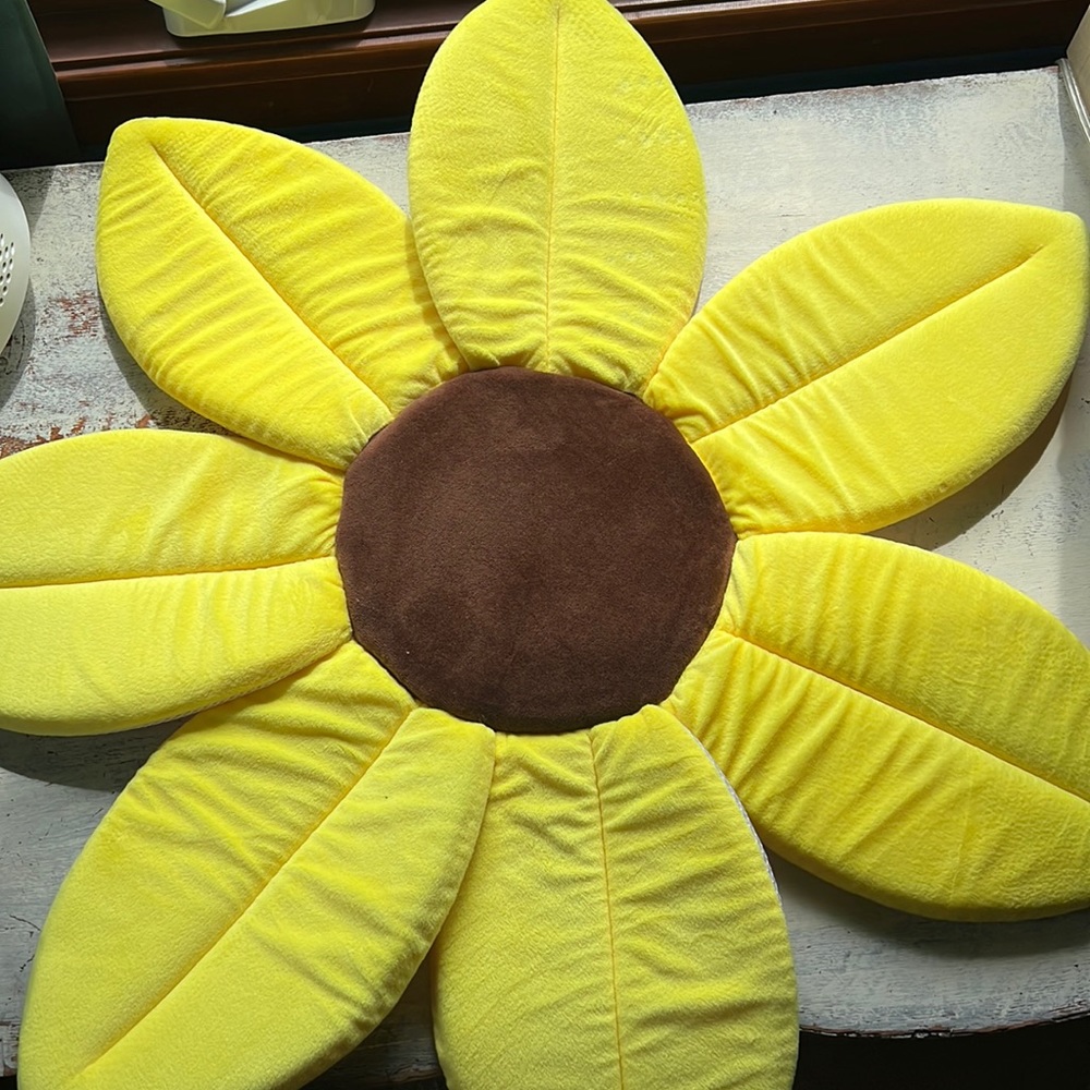 Blooming baby bath sunflower